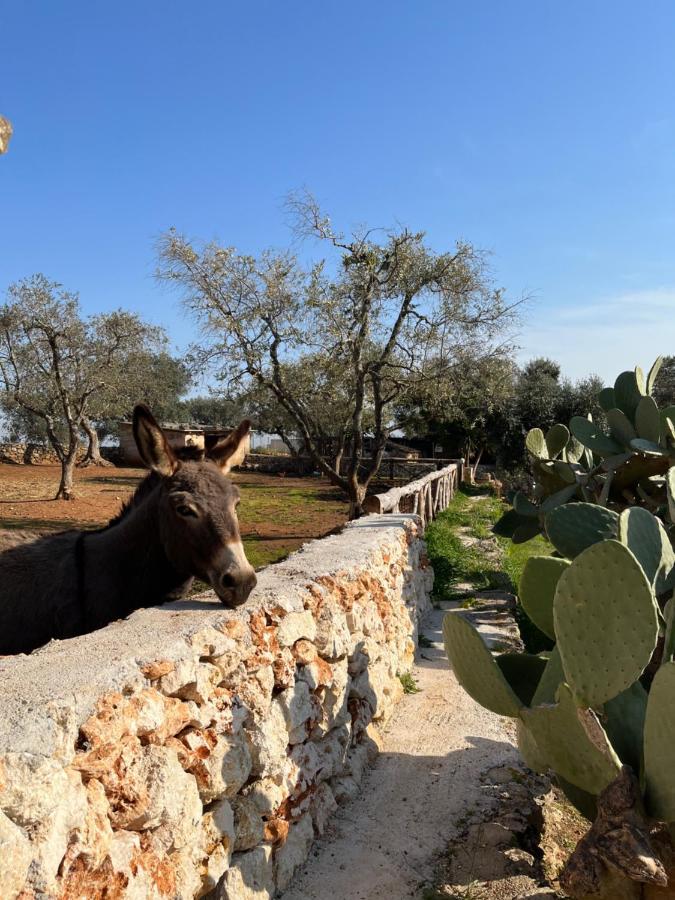 Villa Trulli Dell'Angelo à Specchiolla Extérieur photo